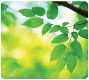 Ekologiczna podkładka pod mysz z serii Earth - liście