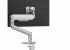 Rising™ ramię na 1 monitor - platynowe