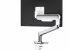 Rising™ ramię na 1 monitor - aluminium - Premium 