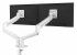 Ramię na 2 monitory TALLO™ (białe)